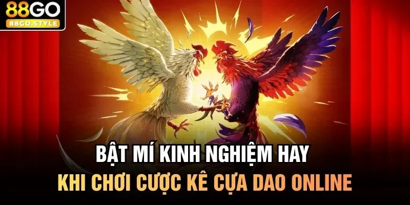 Bật mí kinh nghiệm hay khi chơi cược kê cựa dao online