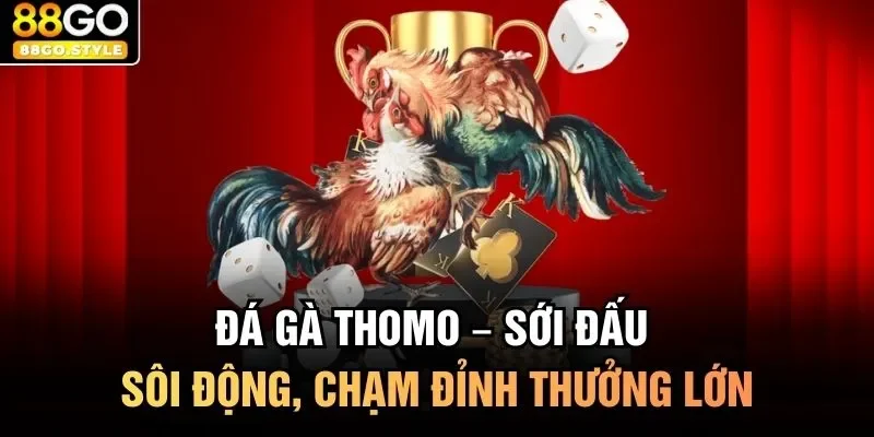 Đá gà Thomo