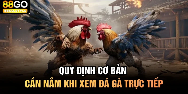 Quy định cơ bản cần nắm khi xem đá gà trực tiếp