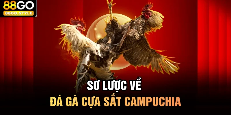 Sơ lược về đá gà cựa sắt campuchia